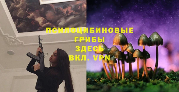 эйфоретик Струнино